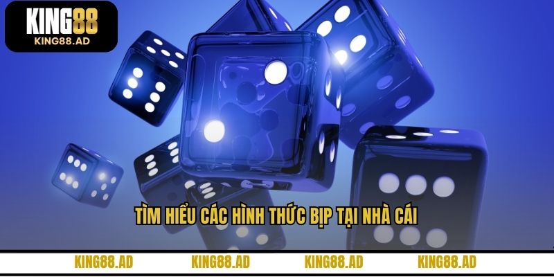 Tìm hiểu các hình thức bịp tại nhà cái Tìm hiểu các hình thức bịp tại nhà cái